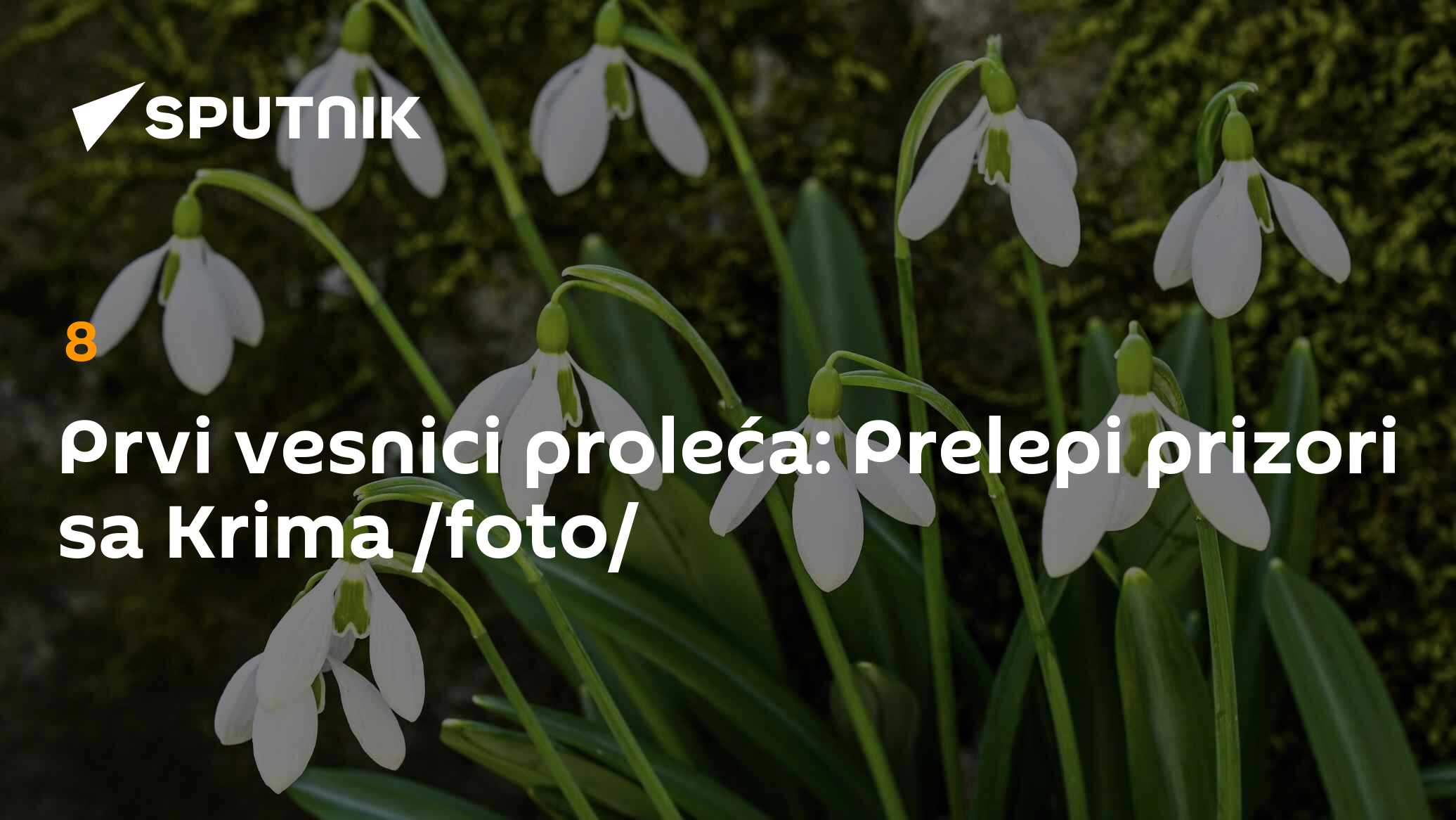 Prvi vesnici proleća: Prelepi prizori sa Krima /foto/ - 03.03.2026 ...