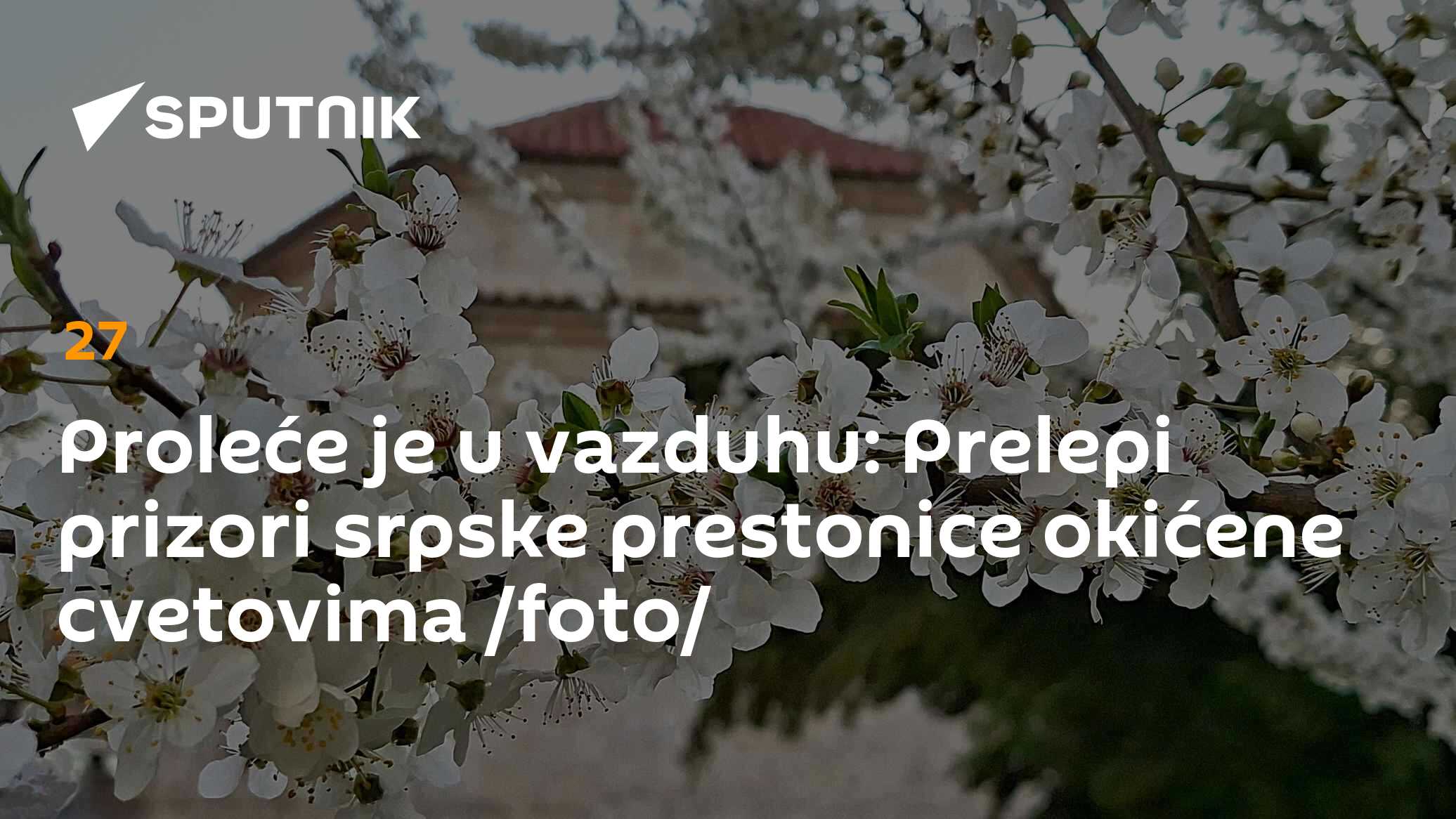 Proleće je u vazduhu: Prelepi prizori srpske prestonice okićene ...
