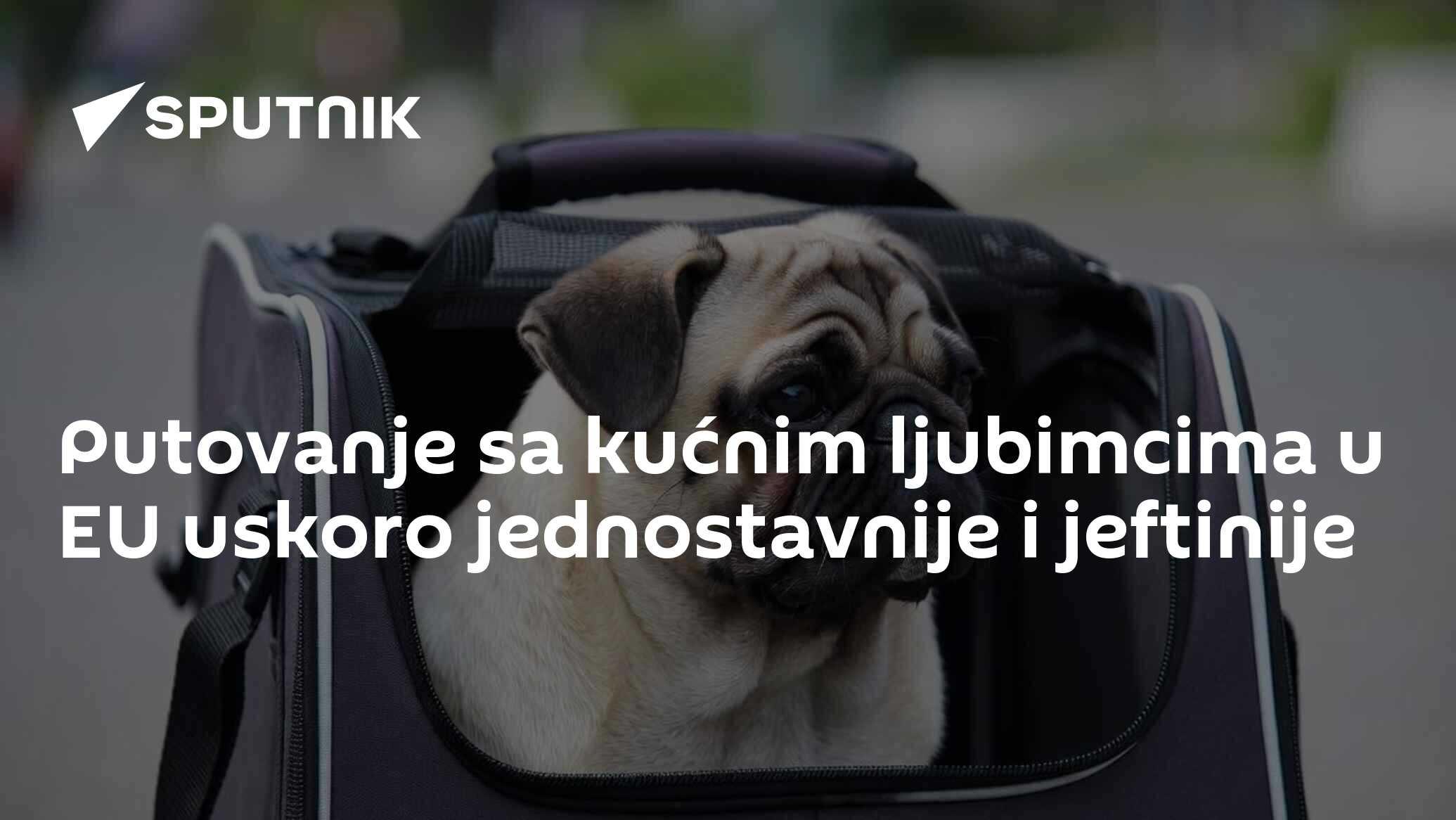 Putovanje sa kućnim ljubimcima u EU uskoro jednostavnije i jeftinije - 04.04.2026, Sputnik Srbija