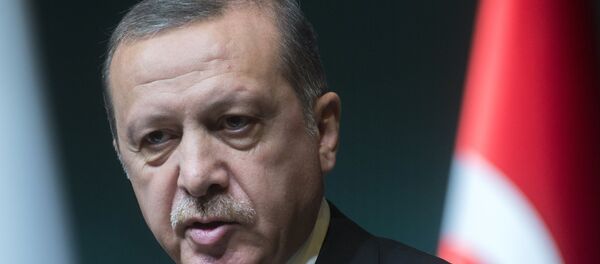 Redžep Tajip Erdogan Redžep Tajip Erdogan - Sputnik Srbija