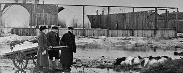 Волково гробље - Sputnik Србија