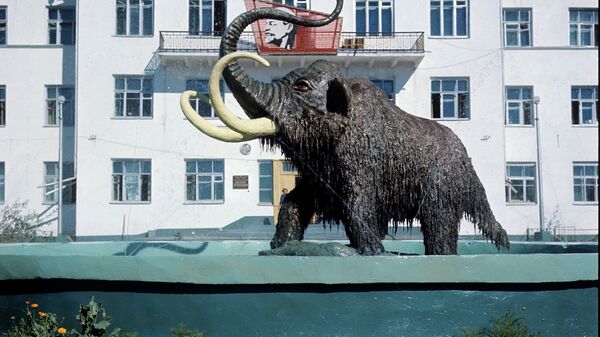 Skulptura mamuta ispred zgrade Instituta za geokriologiju - Sputnik Srbija
