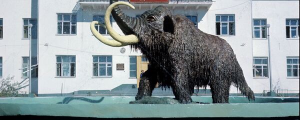 Skulptura mamuta ispred zgrade Instituta za geokriologiju Skulptura mamuta ispred zgrade Instituta za geokriologiju - Sputnik Srbija