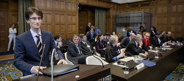 Шеф српског правног тима Саша Обрадовић Шеф српског правног тима Саша Обрадовић - Sputnik Србија