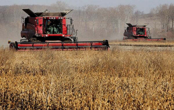 Посебна пажња ће бити посвећена агроиндустријском комплексу који ће добити 54 милијарде како би се домаћим производима заменио увоз хране. - Sputnik Србија