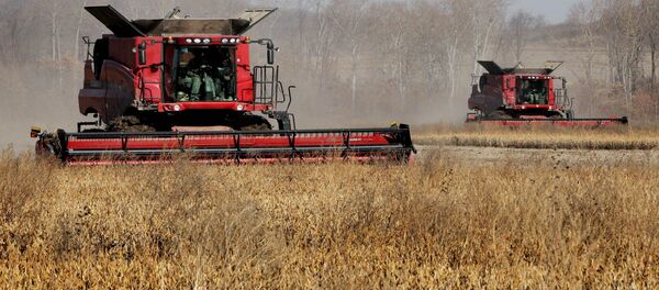 Посебна пажња ће бити посвећена агроиндустријском комплексу који ће добити 54 милијарде како би се домаћим производима заменио увоз хране. - Sputnik Србија