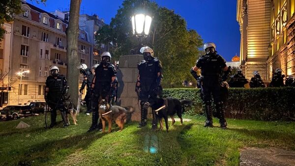 Полиција са псима током протеста у Београду - Sputnik Србија