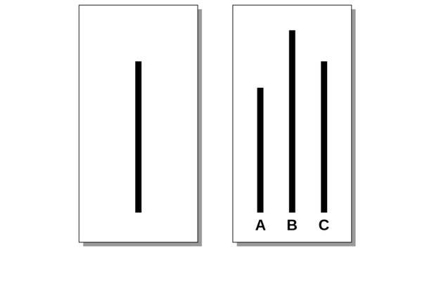 Менталитет крда: Тест који је још средином прошлог века доказао како је манипулација једноставна - Sputnik Србија