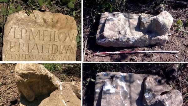 Spomenik otkriven na deponiji u Vinči - Sputnik Srbija