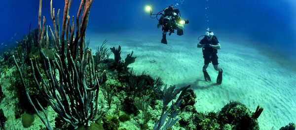 Ronioci - Sputnik Srbija