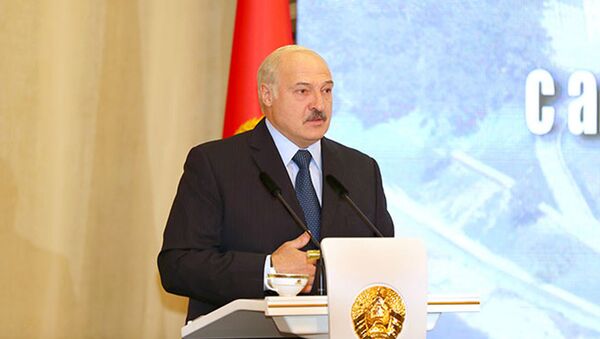 Президент Белоруссии Александр Лукашенко на встрече с активом Витебской области - Sputnik Србија