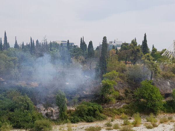 Požari na više lokacija u Podgorici, jedna osoba uhapšena zbog podmetanja /foto/ - Sputnik Srbija