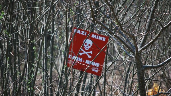 Minsko polje - Sputnik Srbija