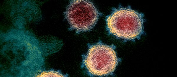 Virus korona SARS-CoV-2 - Sputnik Srbija
