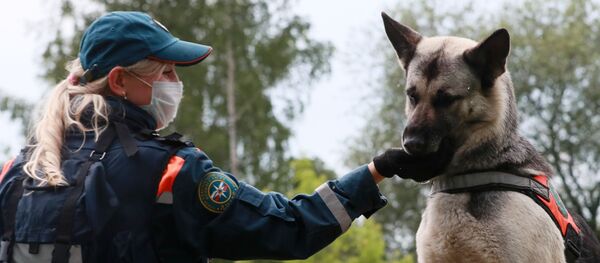 Kinolog sa psom na treningu u kinološkom centru Ministarstva za vanredne situacije Rusije - Sputnik Srbija