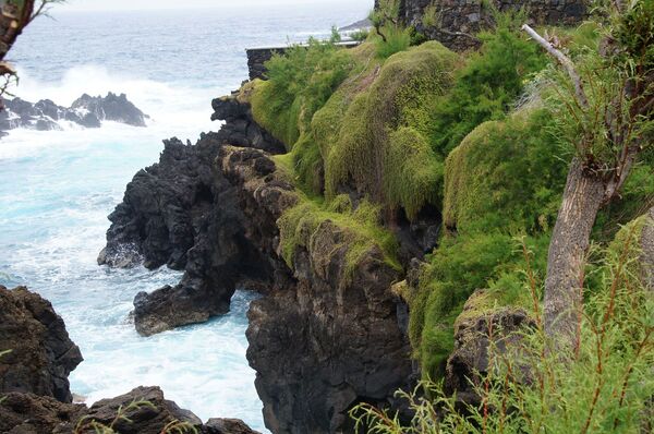 Tropska bašta Atlantika: Mesto gde živi duga - Sputnik Srbija