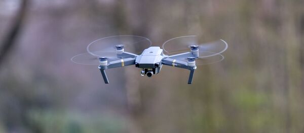 Дрон - Sputnik Србија