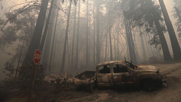 Požar u Kaliforniji - Sputnik Srbija