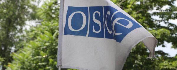 OEBS: Spremni smo da pomognemo Belorusiji, specijalna sednica u petak OEBS: Spremni smo da pomognemo Belorusiji, specijalna sednica u petak - Sputnik Srbija