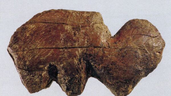 Kljova mamuta pronađena u Sibiru 2020. godine - Sputnik Srbija