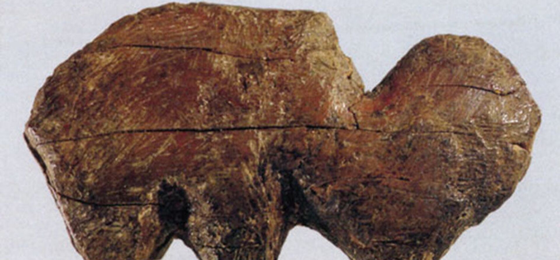 Kljova mamuta pronađena u Sibiru 2020. godine - Sputnik Srbija, 1920, 27.08.2020