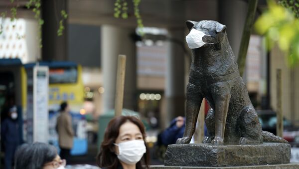 Statua vernog japanskog psa Hačiko, Tokio - Sputnik Srbija