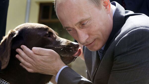 Vladimir Putin i labrador Tonik - Sputnik Srbija