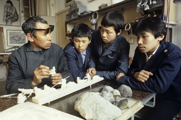 На крај света — хеликоптером или саоницама које вуку пси - Sputnik Србија