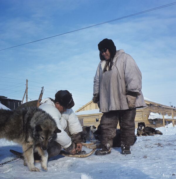На крај света — хеликоптером или саоницама које вуку пси - Sputnik Србија
