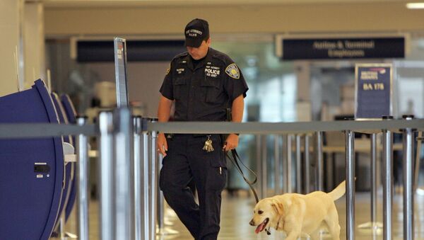 Полицајац на аеродрому у Њујорку - Sputnik Србија
