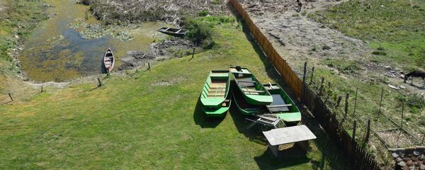 Specijalni rezervat prirode Zasavica Specijalni rezervat prirode Zasavica - Sputnik Srbija