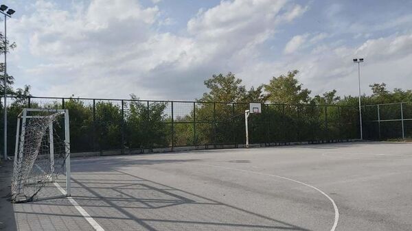 Mrak, albanska vika i repetiranje pištolja: Posle napada na srpsku decu na Kosovu, selom vlada strah - Sputnik Srbija