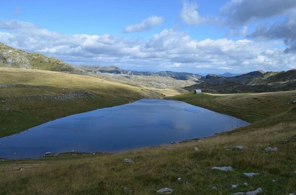 Далеководи пресецају црногорске националне паркове: Највише угрожени Тара и Дурмитор Далеководи пресецају црногорске националне паркове: Највише угрожени Тара и Дурмитор - Sputnik Србија