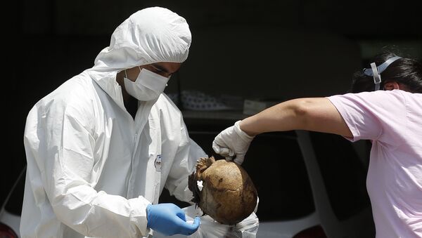 Тела пронађена у контејнеру који је из Србије стигао у Парагвај - Sputnik Србија