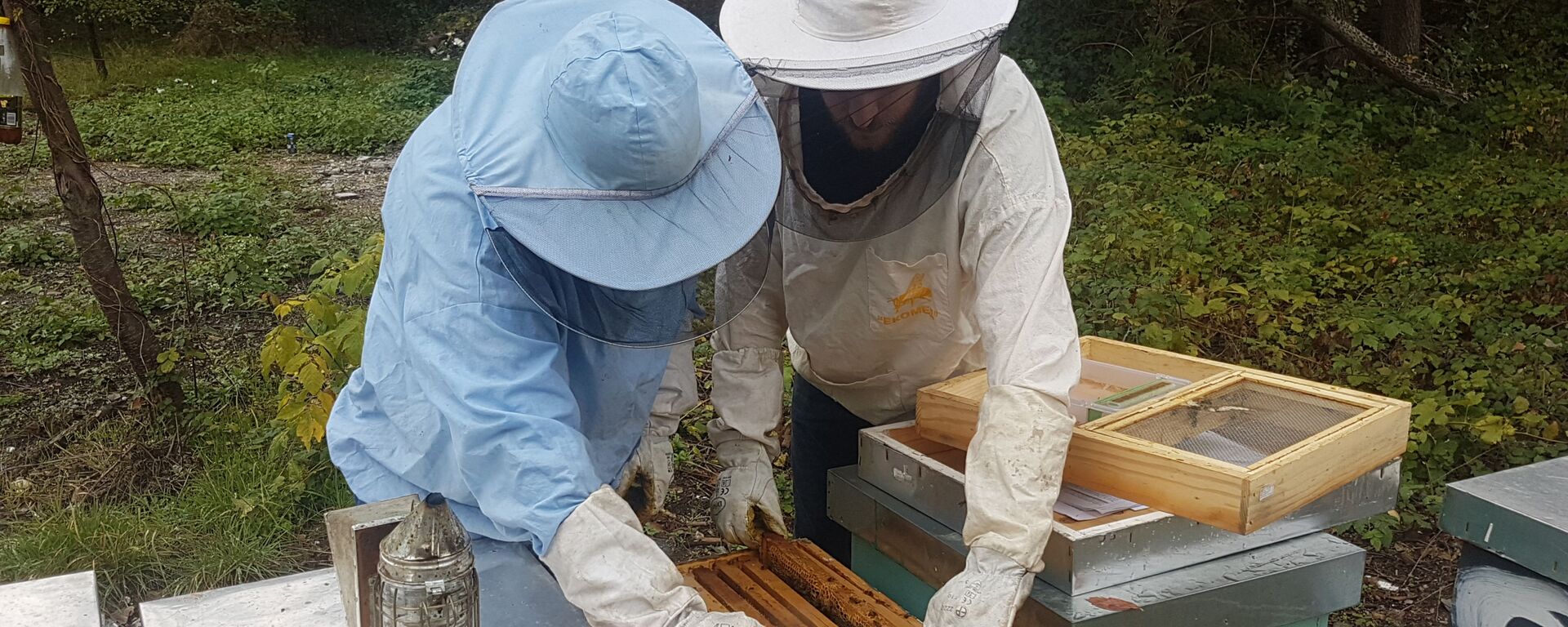 Дарио и Давид Мардешић отварају кошницу - Sputnik Србија, 1920, 07.04.2025