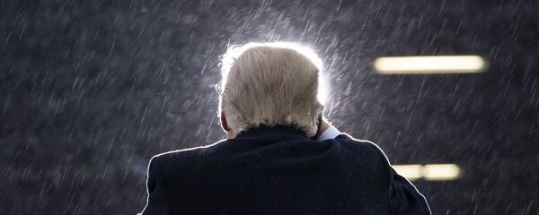 Доналд Трамп - Sputnik Србија