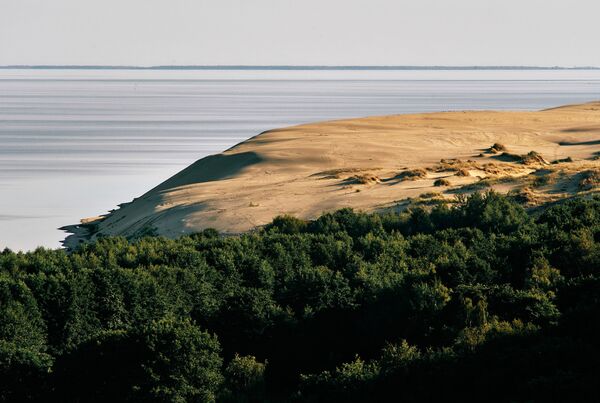 Pogled na dine sa visoravni Efa u nacionalnom parku „Kuška kosa“, Kalinjingradska oblast. - Sputnik Srbija