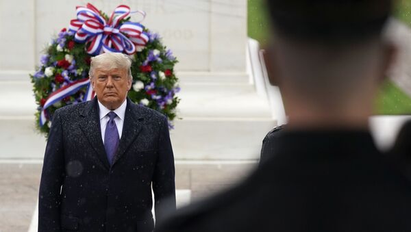 Donald Tramp odaje počast ratnim veteranima na groblju Arlington - Sputnik Srbija