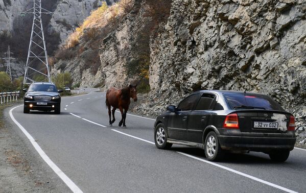 Коњ на планинском путу у Карабаху - Sputnik Србија