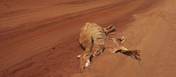 Призор из Африке, где се многе земље суочавају са сиромаштвом и епидемијом глади Призор из Африке, где се многе земље суочавају са сиромаштвом и епидемијом глади - Sputnik Србија