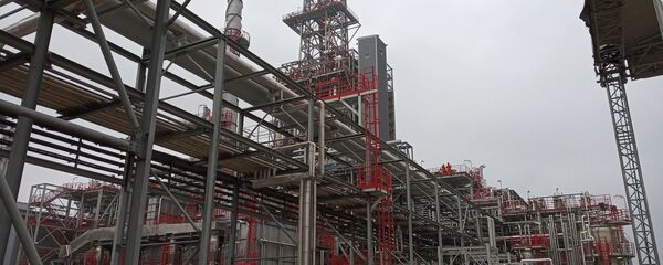 NIS duboka prerada - Sputnik Srbija