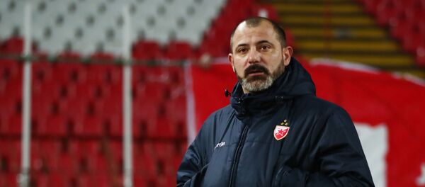 Trener Crvene zvezde Dejan Stanković na meču protiv Hofenhajma - Sputnik Srbija