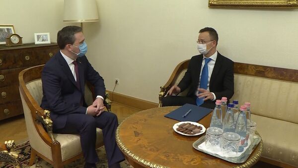 Ministar spoljnih poslova Nikola Selaković sa mađarskim kolegom Peterom Sijartom - Sputnik Srbija
