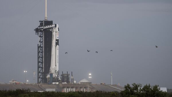 Raketa „Falkon 9“ sa svemirskom letelicom kompanije „Kru dragon“ na lansirnoj rampi u kompleksu 39A nakon završnih priprema za misiju „Kru 1“, u utorak, 10. novembra 2020, u NASA svemirskom centru Kenedi na Floridi.  - Sputnik Srbija