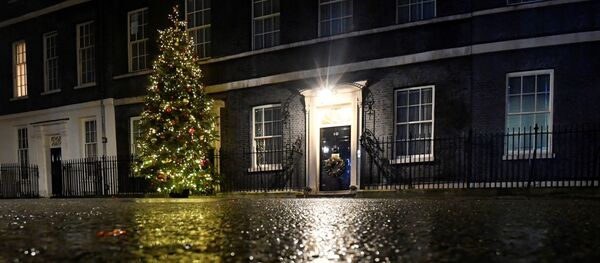 Даунинг стрит у Лондону Даунинг стрит у Лондону - Sputnik Србија