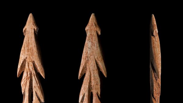 Oružje iz kamenog doba napravljeno od kostiju - Sputnik Srbija