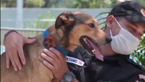 Како је улични пас добио посао у полицији - Sputnik Србија