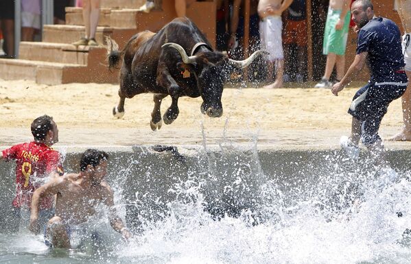 Бик скаче у море током шпанског фестивала „Bous a la mar“ („Бикови у мору“) - Sputnik Србија
