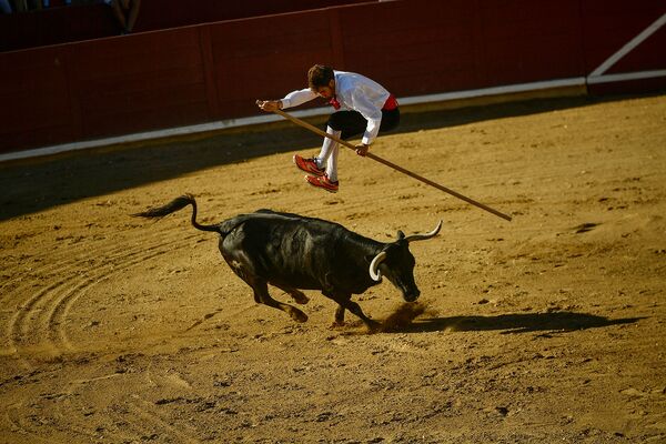 Učesnik „Koride Goje“ u severnoj Španiji preskače bika - Sputnik Srbija