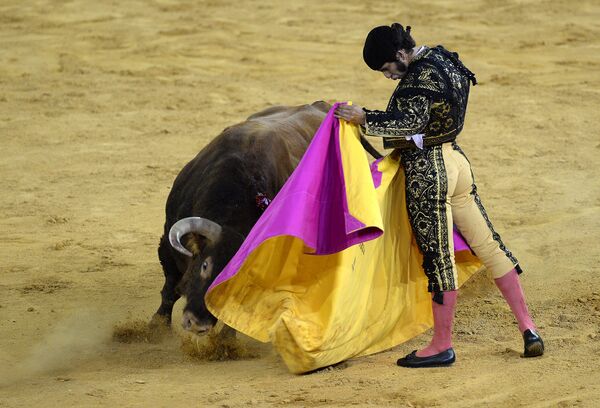 Španski toreador Morante de la Puebla tokom borbe sa bikovima (koride) - Sputnik Srbija